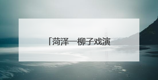 菏泽一柳子戏演员荣获梅花奖
