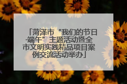 菏泽市“我们的节日·端午”主题活动暨全市文明实践精品项目案例交流活动举办