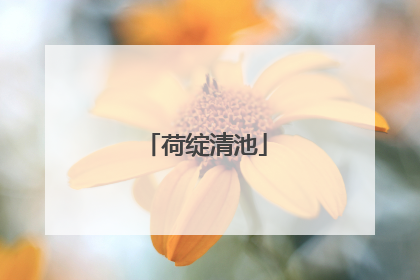 荷绽清池
