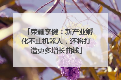 荣耀李健：新产业孵化不止机器人，还将打造更多增长曲线