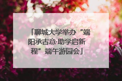 聊城大学举办“端阳承古意·助学启新程”端午游园会