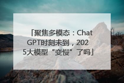 聚焦多模态：ChatGPT时刻未到，2025大模型“变慢”了吗