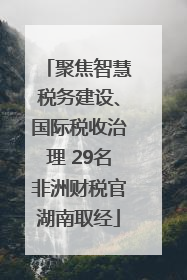 聚焦智慧税务建设、国际税收治理 29名非洲财税官湖南取经
