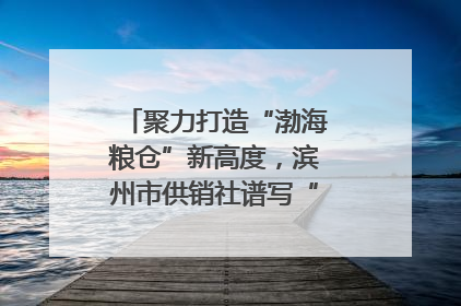 聚力打造“渤海粮仓”新高度，滨州市供销社谱写“三夏”丰收乐章