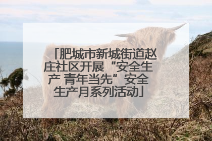 肥城市新城街道赵庄社区开展“安全生产 青年当先”安全生产月系列活动