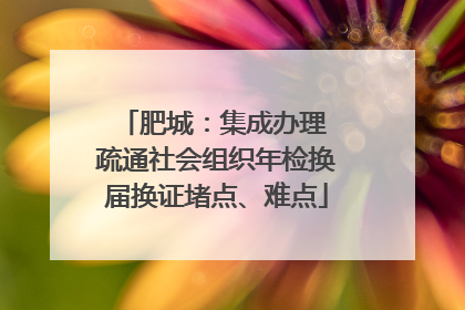肥城：集成办理 疏通社会组织年检换届换证堵点、难点