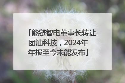 能链智电董事长转让团油科技，2024年年报至今未能发布