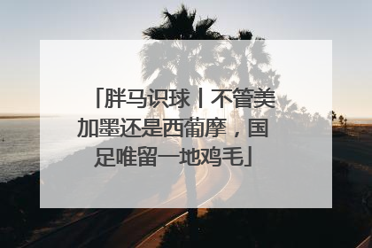 胖马识球丨不管美加墨还是西葡摩，国足唯留一地鸡毛