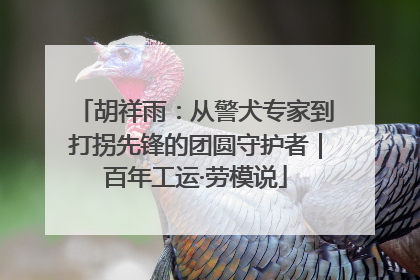 胡祥雨：从警犬专家到打拐先锋的团圆守护者｜百年工运·劳模说