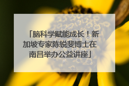 脑科学赋能成长！新加坡专家陈锐斐博士在南昌举办公益讲座