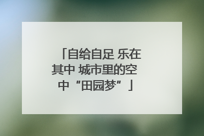 自给自足 乐在其中 城市里的空中“田园梦”