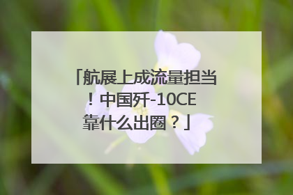 航展上成流量担当！中国歼-10CE靠什么出圈？