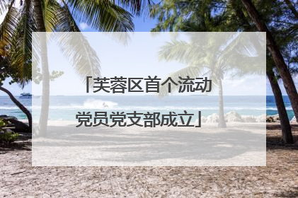 芙蓉区首个流动党员党支部成立