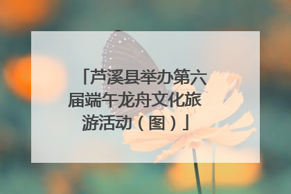 芦溪县举办第六届端午龙舟文化旅游活动（图）