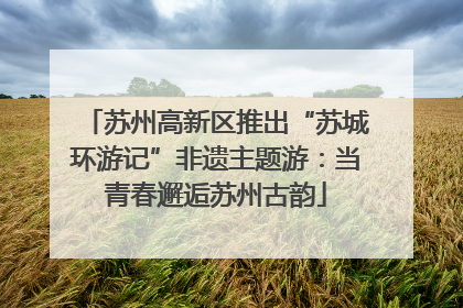 苏州高新区推出“苏城环游记”非遗主题游：当青春邂逅苏州古韵