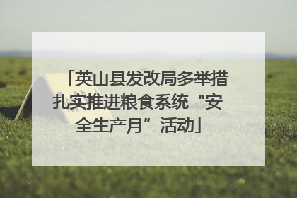 英山县发改局多举措扎实推进粮食系统“安全生产月”活动