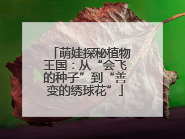 萌娃探秘植物王国：从“会飞的种子”到“善变的绣球花”