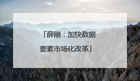 薛刚：加快数据要素市场化改革