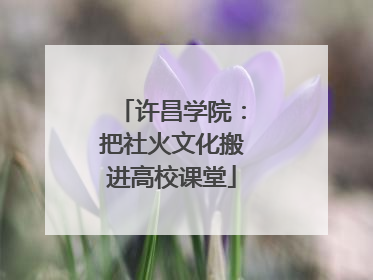 许昌学院：把社火文化搬进高校课堂