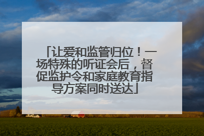 让爱和监管归位！一场特殊的听证会后，督促监护令和家庭教育指导方案同时送达