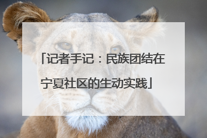 记者手记：民族团结在宁夏社区的生动实践