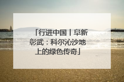 行进中国丨阜新彰武：科尔沁沙地上的绿色传奇
