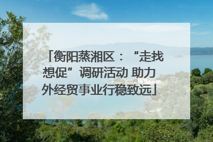 衡阳蒸湘区：“走找想促”调研活动 助力外经贸事业行稳致远
