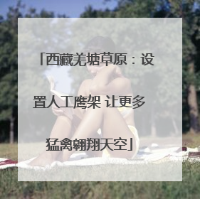 西藏羌塘草原：设置人工鹰架 让更多猛禽翱翔天空