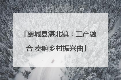 襄城县湛北镇：三产融合 奏响乡村振兴曲