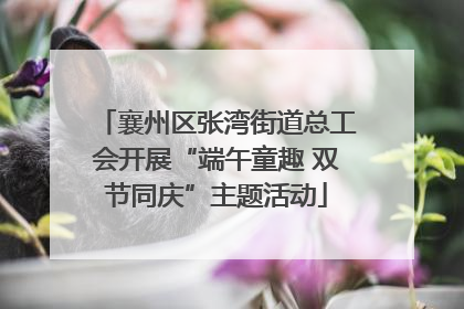 襄州区张湾街道总工会开展“端午童趣 双节同庆”主题活动