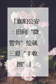 襄阳公安：田间“微警务”绘就三夏“丰收图”