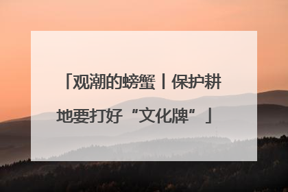 观潮的螃蟹丨保护耕地要打好“文化牌”
