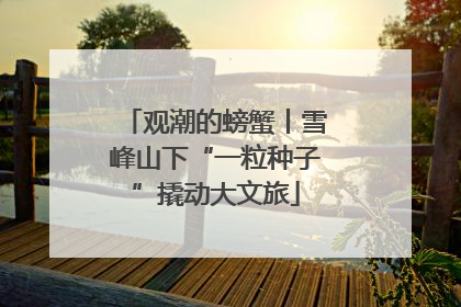 观潮的螃蟹丨雪峰山下“一粒种子”撬动大文旅
