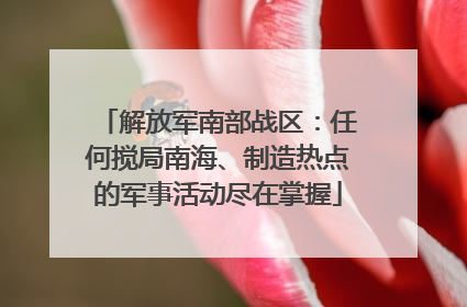 解放军南部战区：任何搅局南海、制造热点的军事活动尽在掌握