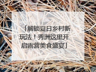解锁夏日乡村新玩法！秀洲这里开启露营美食盛宴