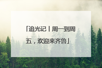追光记丨周一到周五，欢迎来齐鲁