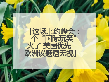这场北约峰会：一个“国际玩笑”火了 美国优先 欧洲议题遭无视