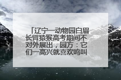 辽宁一动物园白眉长臂猿猴高考期间不对外展出，园方：它们一高兴就喜欢鸣叫，怕影响考试