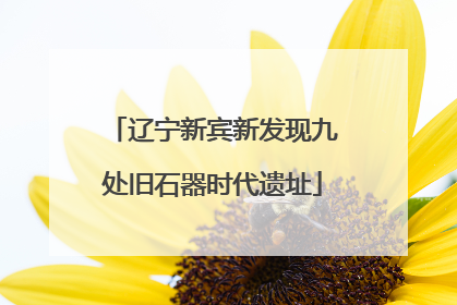 辽宁新宾新发现九处旧石器时代遗址