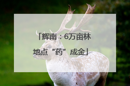 辉南：6万亩林地点“药”成金