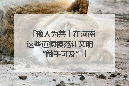 豫人为善丨在河南这些道德模范让文明“触手可及”