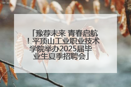 豫荐未来 青春启航！平顶山工业职业技术学院举办2025届毕业生夏季招聘会