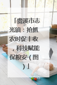 贵溪市志光镇：抢抓农时促丰收，科技赋能保粮安（图）