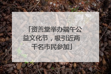 资善堂举办端午公益文化节，吸引近两千名市民参加