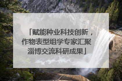 赋能种业科技创新，作物表型组学专家汇聚淄博交流科研成果