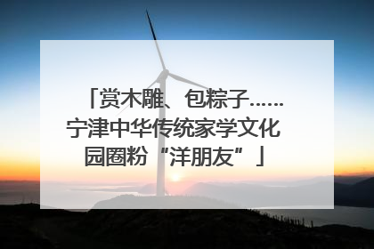 赏木雕、包粽子……宁津中华传统家学文化园圈粉“洋朋友”