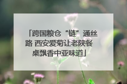 跨国粮仓“链”通丝路 西安爱菊让老陕餐桌飘香中亚味道