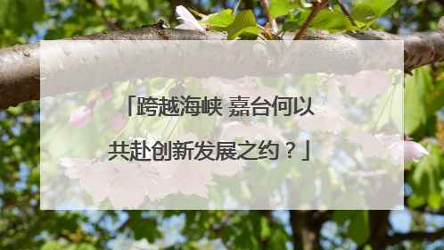 跨越海峡 嘉台何以共赴创新发展之约？