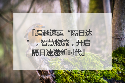 跨越速运“隔日达”，智慧物流，开启隔日速递新时代