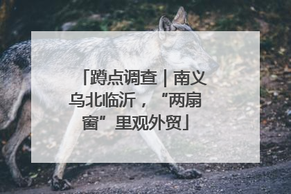 蹲点调查｜南义乌北临沂，“两扇窗”里观外贸